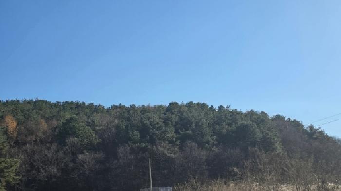 2025타경12875 임야 · 울산광역시 울주군 범서읍 중리 167-1