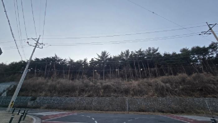 2025타경12949 임야 · 울산광역시 울주군 상북면 양등리 산6