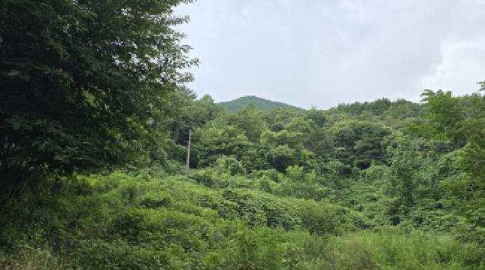 2025타경1296 임야 · 울산광역시 울주군 삼남읍
