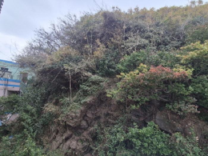 2025타경13105 대지 · 울산광역시 북구 정자동 10-1