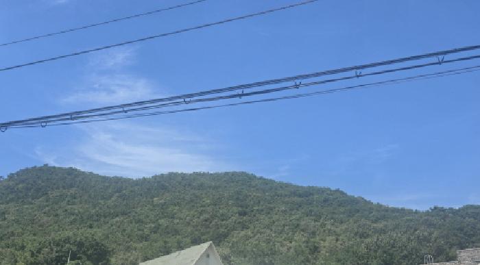 2025타경1320 임야 · 경상남도 양산시 용당동 산80-9