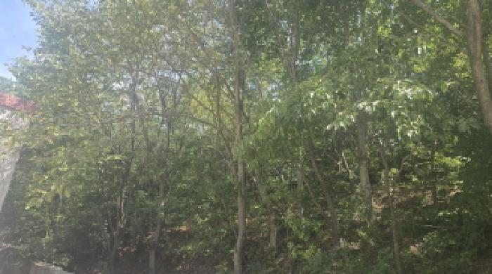 2025타경1334 임야 · 경상남도 양산시 명동