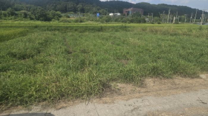 2025타경1337 전답 · 울산광역시 울주군 언양읍
