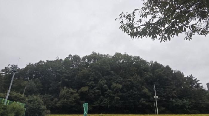 2025타경1441 임야 · 울산광역시 울주군 범서읍