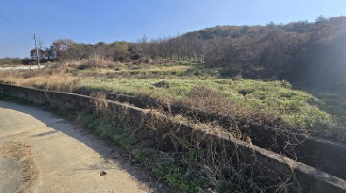 2025타경1525 · 울산광역시 울주군 두동면 봉계리 353
