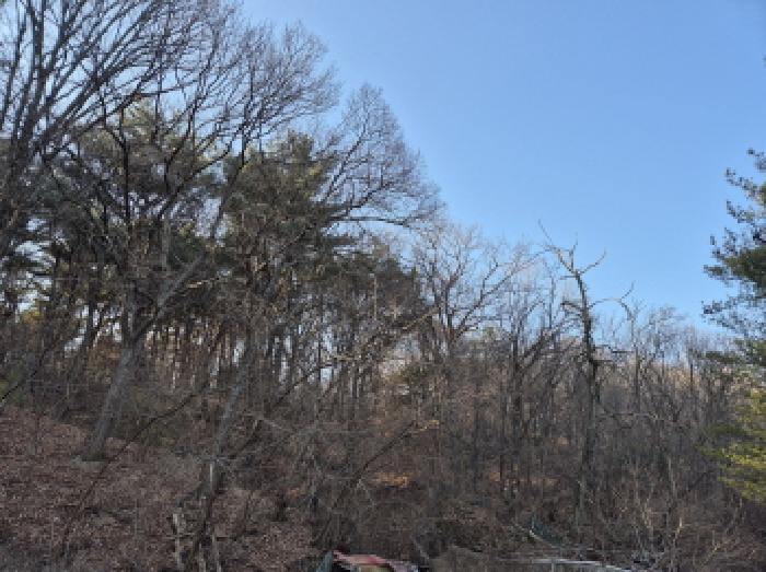 2025타경1577 임야 · 울산광역시 남구 신정동 산164-2