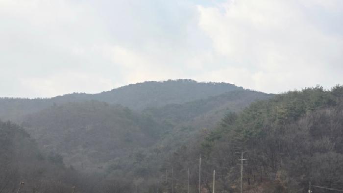 2025타경1578 임야 · 울산광역시 울주군 웅촌면 대복리 산263