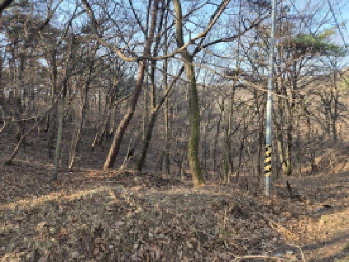 2025타경1591 임야 · 울산광역시 북구 무룡동 산66-8