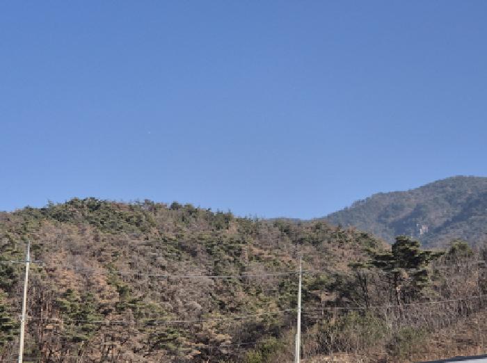 2025타경1646 임야 · 울산광역시 북구 중산동 산25-3