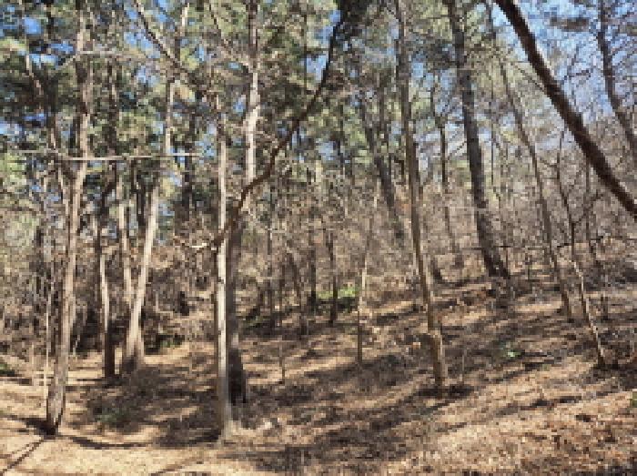 2025타경381 임야 · 울산광역시 남구 선암동