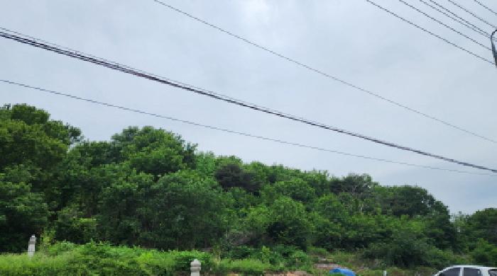 2025타경906 임야 · 울산광역시 울주군 상북면