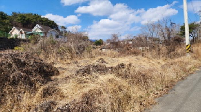 2025타경910 대지 · 울산광역시 울주군 두동면