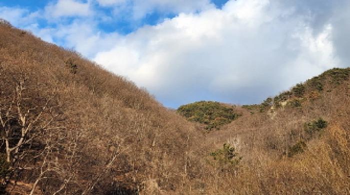 2025타경914 임야 · 경상남도 양산시 원동면