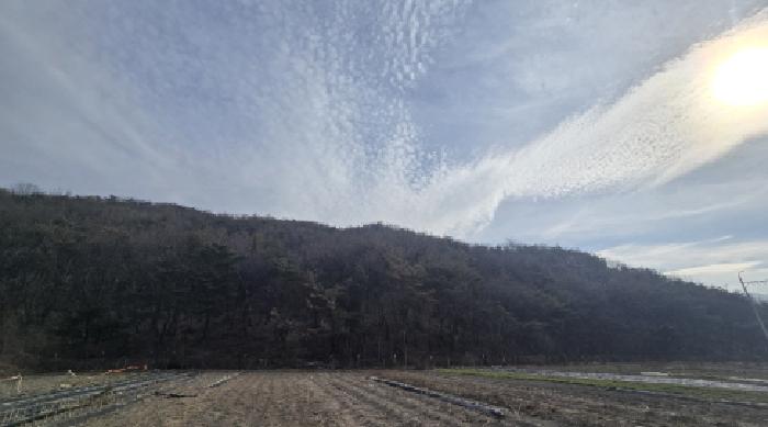 2026타경10006 임야 · 경상남도 양산시 상북면 외석리 산46-1