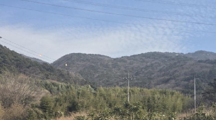 2026타경10036 임야 · 경상남도 양산시 동면 금산리 산133