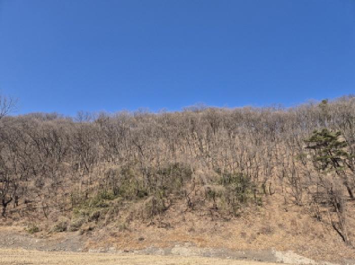 2026타경10100 임야 · 울산광역시 북구 대안동 산329