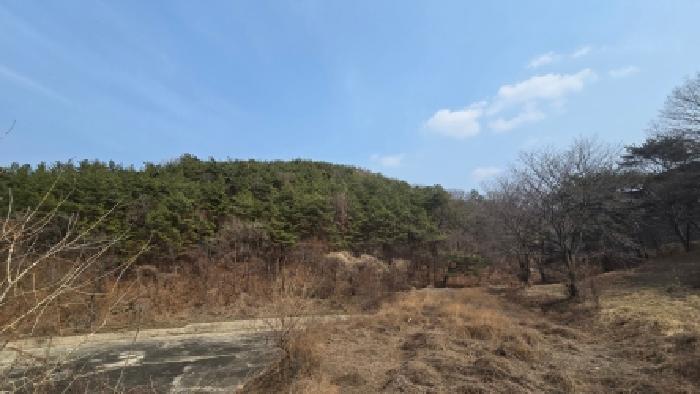 2026타경102 임야 · 울산광역시 울주군 두동면 구미리 산230-1