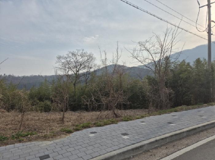 2026타경10286 임야 · 울산광역시 울주군 청량읍 율리 1034
