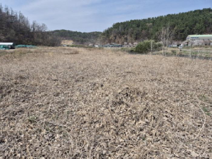 2026타경10411 임야 · 울산광역시 울주군 온양읍 동상리 85