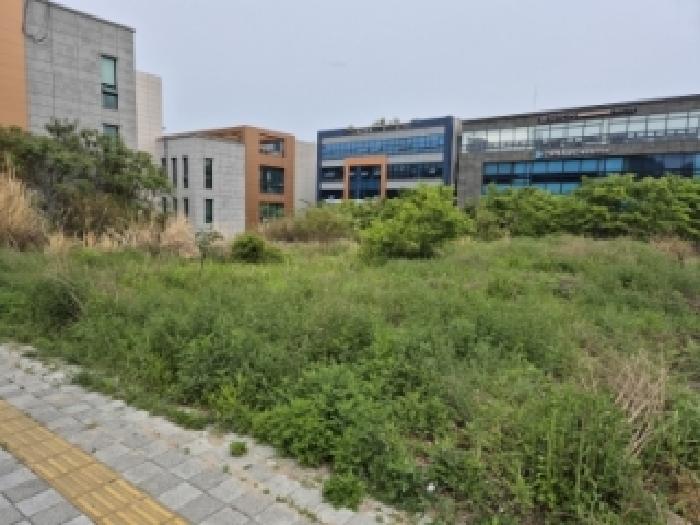 2026타경10564 대지 · 울산광역시 중구 서동 602-3
