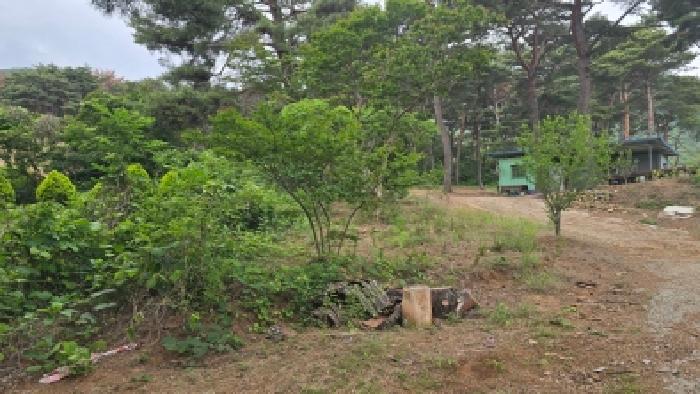 2026타경10654 임야 · 울산광역시 울주군 웅촌면 은현리 775-36