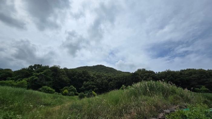 2026타경301 임야 · 울산광역시 울주군 웅촌면 고연리 산142