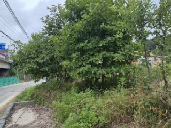 2026타경330 · 울산광역시 울주군 온산읍 덕신리 399-1