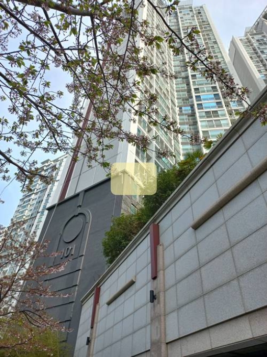 2023타경1161 아파트 · 부산광역시 수영구 광안해변로 386 101동 24층2401호 (민락동,롯데캐슬자이언트)