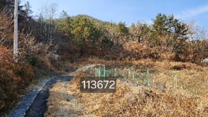 2024타경113672 임야 · 부산광역시 기장군 장안읍 용소리 산151