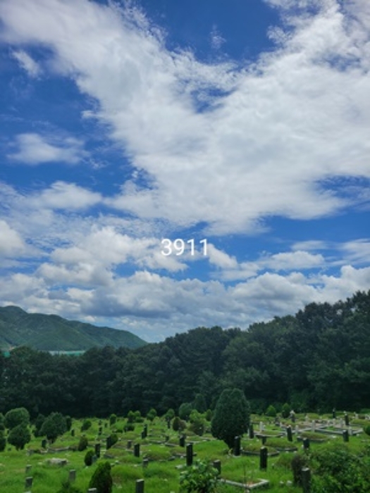 2024타경3911 임야 · 부산광역시 기장군 정관읍 용수리 산129-1