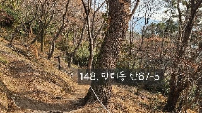 2025타경148 임야 · 부산광역시 수영구 망미동 산67-5