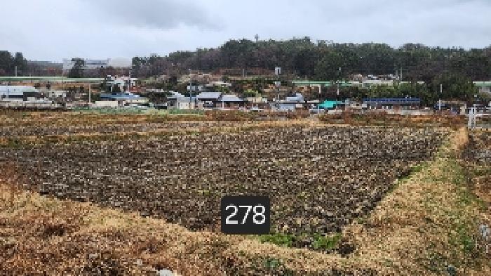 2025타경278 전답 · 부산광역시 기장군 기장읍 석산리 126-1