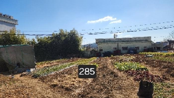 2025타경285 전답 · 부산광역시 기장군 장안읍