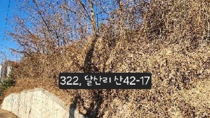 2025타경322 임야 · 부산광역시 기장군 정관읍