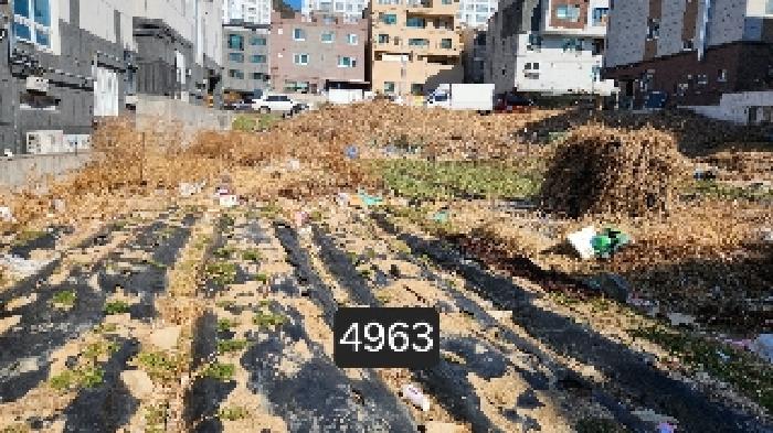2025타경4963 대지 · 부산광역시 기장군 정관읍