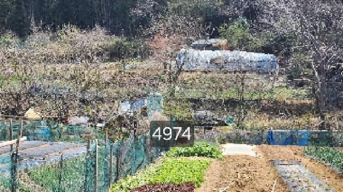 2025타경4974 전답 · 부산광역시 기장군 기장읍 만화리 16-2
