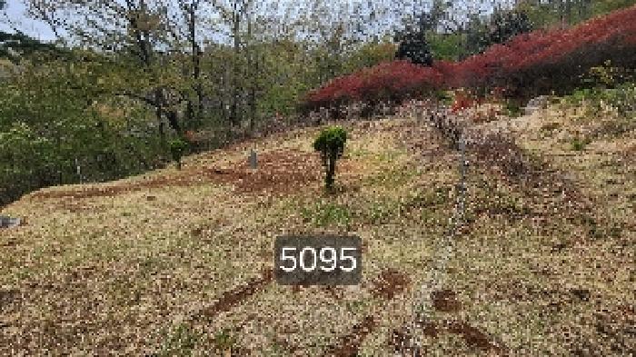 2025타경5095 임야 · 부산광역시 기장군 정관읍 월평리 산34