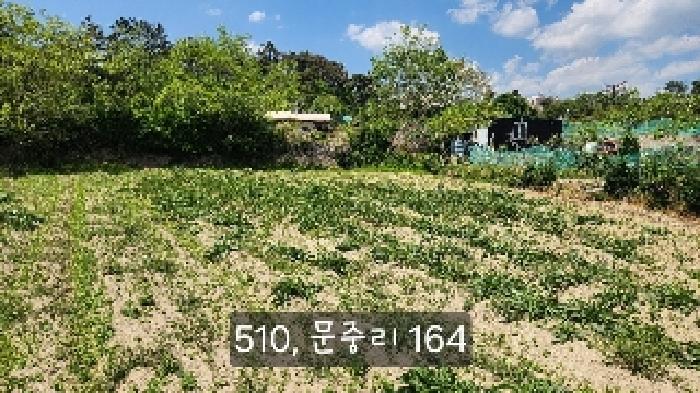 2025타경510 전답 · 부산광역시 기장군 일광읍 문중리 164-1
