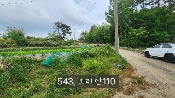 2025타경543 임야 · 부산광역시 기장군 장안읍