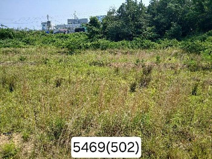 2025타경5469 · 부산광역시 기장군 장안읍 반룡리 502