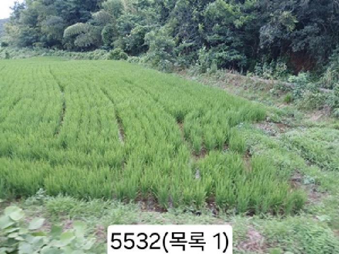 2025타경5532 전답 · 부산광역시 기장군 일광읍 원리 559
