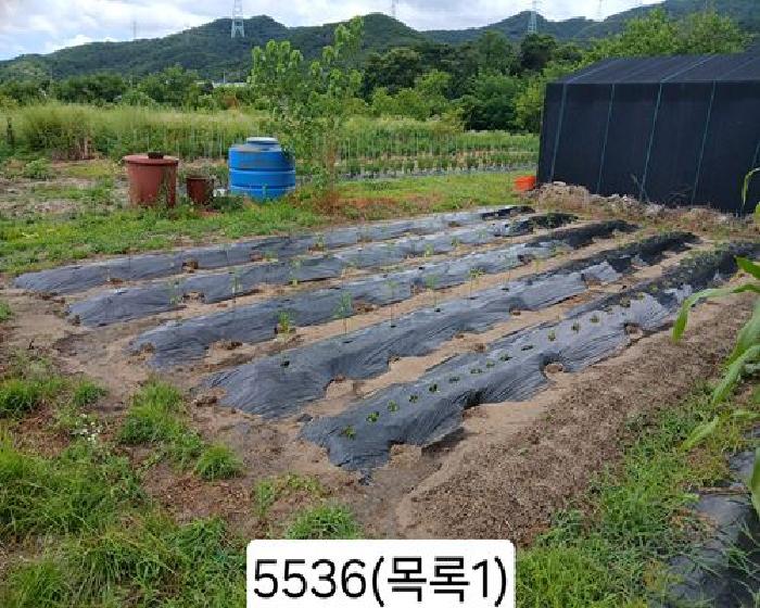 2025타경5536 · 부산광역시 기장군 정관읍 월평리 84-10