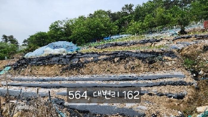 2025타경564 전답 · 부산광역시 기장군 기장읍 대변리 161