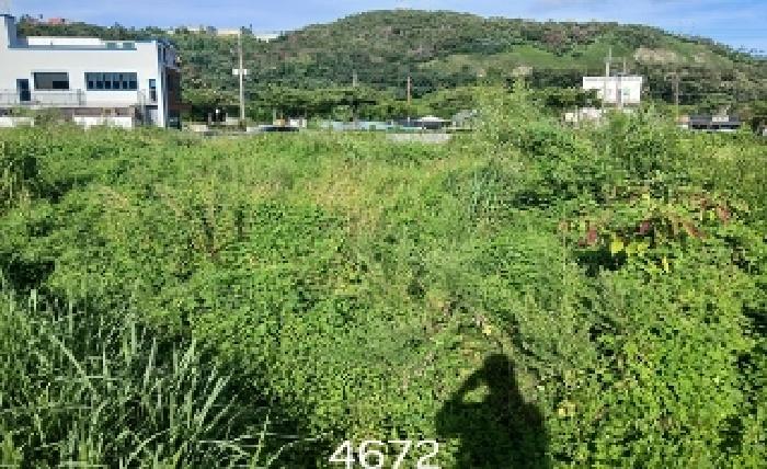 2025타경5672 전답 · 부산광역시 기장군 장안읍 장안리 276
