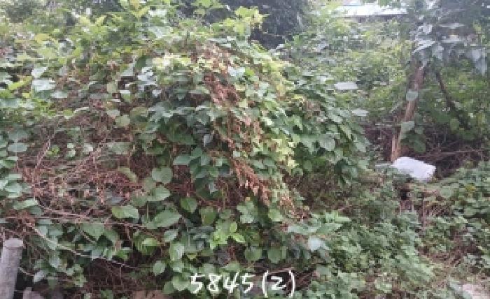 2025타경5845 대지 · 부산광역시 해운대구 우동 554-6