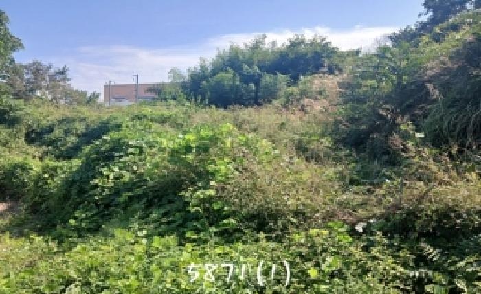 2025타경5871 · 부산광역시 기장군 일광읍 삼성리 238-1