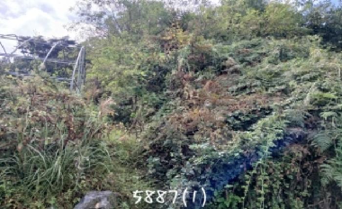 2025타경5887 임야 · 부산광역시 기장군 장안읍 덕선리 산269-9