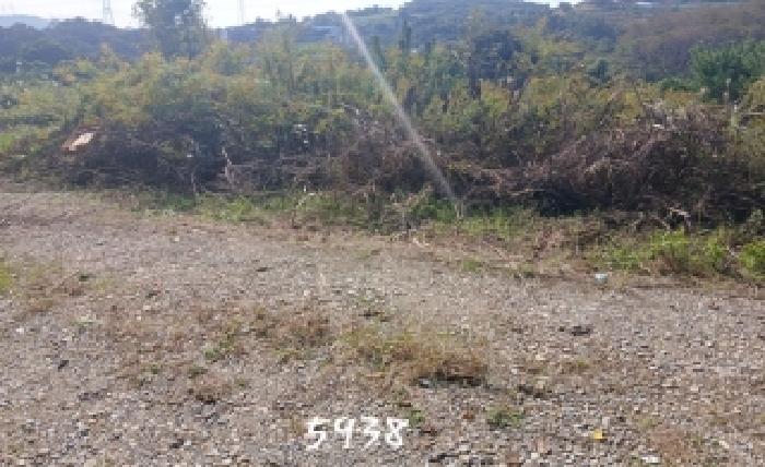 2025타경5938 임야 · 부산광역시 기장군 장안읍 오리 산92-11