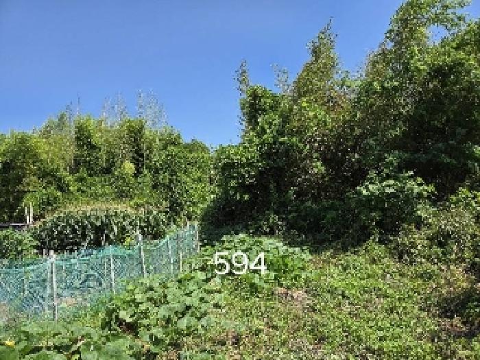 2025타경594 임야 · 부산광역시 기장군 철마면