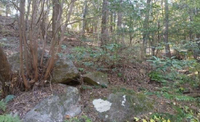2025타경5967 임야 · 부산광역시 해운대구 좌동 산78-19